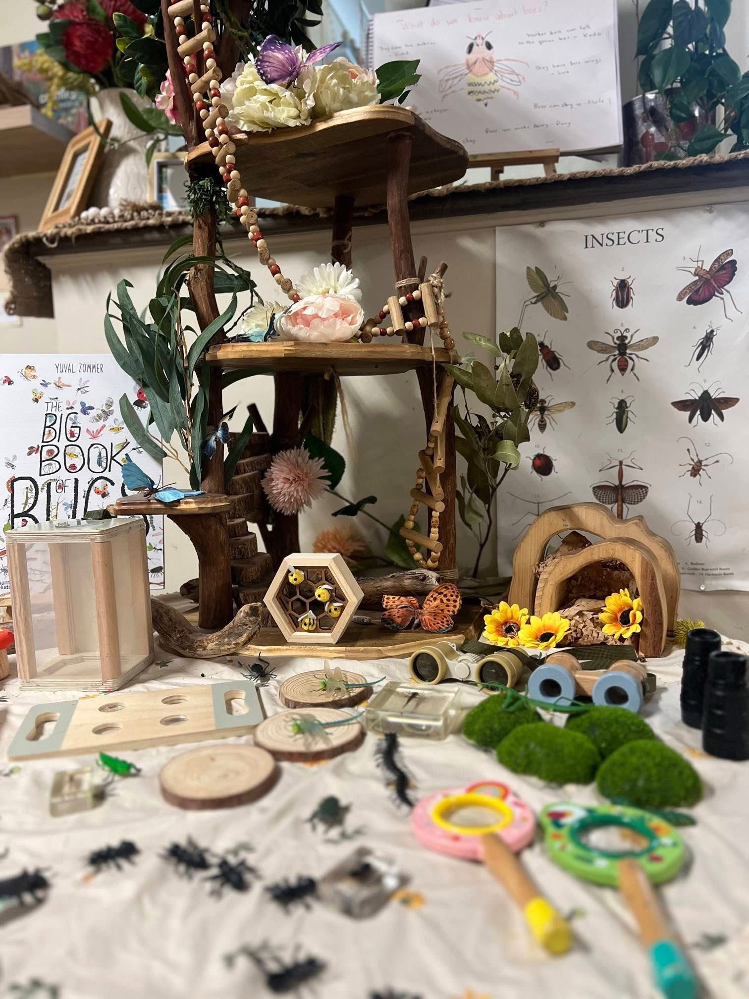 An insect investigation environment with natural materials, books and discovery resources